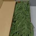 joyhalo 12 Pcs Norfolk Pine Stems, 18" Artificial Christmas Pine Branches Faux Greenery Stem Real Touch Cedar Stems for Vases, Christmas Trees and Outdoor Home Decor