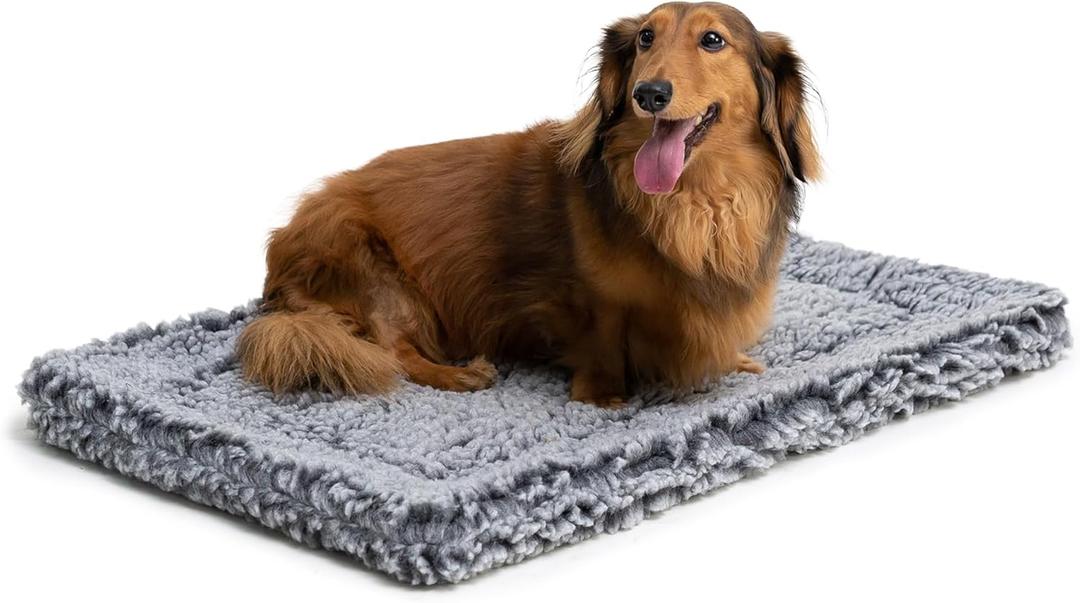 PELZIN Stoutwool Indestructible Dog Bed - Fluffy Chew Proof Dog Crate Pad - Tough Kennel Pad for Aggressive Chewers - Washable, Ideal for Small Breeds & Fits 24-Inch Crate - 23"x16", Charcoal