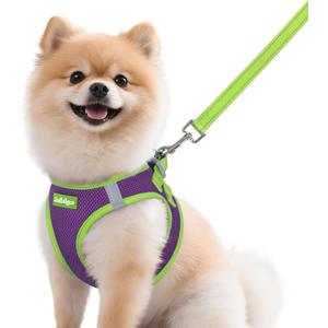 rabbitgoo Dog Harness Small Sized and Leash Set, Step-in Breathable Pet Harness, Soft Walking Reflective Puppy Vest for Small Dogs, Purple & Green, M (M (Chest: 16.0 - 18.5"))