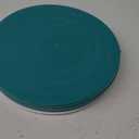 SoulThink Ant Proof Cat Dog Bowl Tray - New Innovation Anti Ant Pet Food Dish Indoor No Chemical No Water Needed Different from Traditional Ant Trap (Turquoise Green)