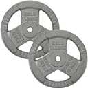 Cast Iron 1-Inch Standard Weight Plate for Strength Training & Weightlifting, 25lb pair