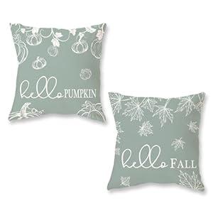 ONWAY Fall Throw Pillow Covers 18x18 Set of 2 Farmhouse Hello Fall Pumpkin Maple Leaves Decorations Outdoor Patio Autumn Seasonal Cushion Cover for Sofa Couch Home Bed Blue