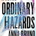 Ordinary Hazards: A Novel Book