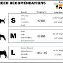 Native Pup Martingale Dog Collar, Adjustable for Small, Medium, Large pet and Puppies Accessories, Cute Colors for Male, Female, Boy, Girl, Puppy (Medium, Black)