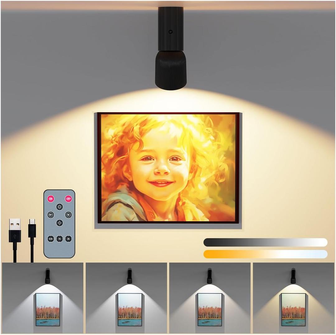 LED Ceiling Picture Lights with 6000mAH Rechargeable Battery Powered, Cordless Painting Wall Lamps Sconces with 4 Brightness&Color Temp,CRI95, Indoor Spotlight for Art Display Photo Portraits Gallery