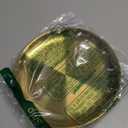 Serving Trays 7.9in Stainless Steel Decorative Tray Round Gold Tray for Kitchen Wedding Party Coffee Table Dishwasher Safe