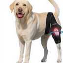 Nylvian Dog Knee Brace for Torn Acl Hind Leg - Adjustable Stabilizing Support for Ccl Injury, Luxating Patella, Hind Leg Pain & Arthritis - Rear Leg Limp Support