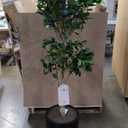 Artificial Tree Faux Olive Tree 8ft(92in,3200leaves) Tall Fake Olive Plant in Pot Fake Silk Tree Faux Plants Indoor