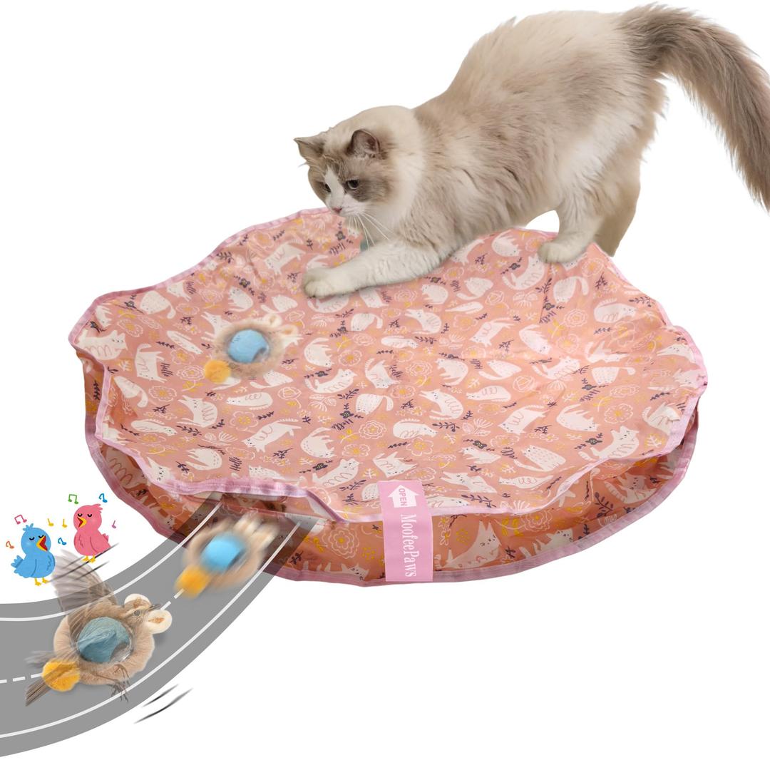 MoofeePaws Cat Toys for Indoor Cats, Interactive Cat Toy for Adult Cats