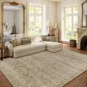 Machine Washable Rugs for Living Room: 6x9 Area Rugs for Bedroom Vintage Stain Resistant Non Slip Low Pile Lightweight Boho Carpet for Kitchen Dining Room Farmhouse Kids Room Nursery