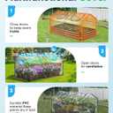 Quictent Mini Greenhouse, Portable Quick-Setup Small Tabletop Waterproof UV Protected PVC Cover Shelter for Outdoors/Indoors W/ Raised Base for Garden Plant Seed Starting, 71"x36"x36" Clear