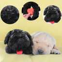 3T GROUP Puppy Stuffed Animal with Heartbeat Toy for Dog Heartbeat Toy Sleep Aid for Puppy Essentials Anxiety Toys Behavioral Training Relief Calming Plush Pillow (Black)