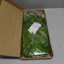 Suncalla Forest Green Spring Natural Dried Amaranthus Hanging Flowers Amaranthus Artificial Flowers for Wedding Arch Bouquet Floral Garland Wall Home Decoration (23 Inch,12 Pcs)