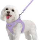 rabbitgoo Dog Harness Small Sized and Leash Set, Step in Soft Light Puppy Vest, Breathable Mesh Pet Harness, Reflective for Safe Easy Walking, Light Purple M