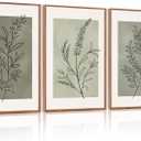 CHDITB Sage Green Framed Canvas Wall Art, Neutral Botanical Line Wall Decor, Olive Tone Plant Poster, Modern Farmhouse Floral Decor, Boho Minimalist Nature Prints for Bedroom Office Decor 16"x24"X3