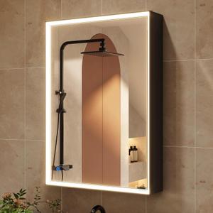 Lighted Medicine Mirror Cabinet with Storage Adjustable Brightness 3 Color Temperature Lighting Sturdy Aluminum Medicine Cabinet with Lights 2 Socket & 2 USB Ports & Adjustable Shelf