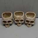 RMM Halloween Decoration Retro Human Skull Head Flower Pot Planter Bed Box Container Replica Home Bar Dcor,Clear, 3 pcs