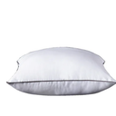 Lumbar Pillow for Sleeping,Brushed Fabric Pillow Core, 4 Pack, 25"x16"