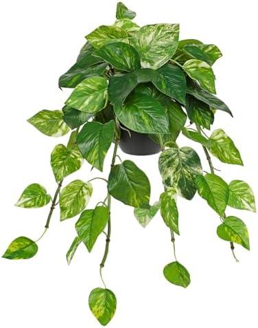 Hollyone Artificial Hanging Pothos Plants Potted Fake Ivy Faux Pothos Vine Leaves Hanging Greenery Plant in Black Pot for Home Indoor Tabletop Bedroom Patio Shelf Office Decor