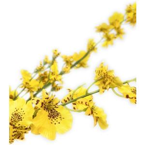 Exotic dried flower bouquet Realistic Yellow Orchid Stems, Artificial Plants, Suitable For Vase Bouquet Fillers, Indoor And Outdoor, Home Flower Decoration Arrangements Porch decoration, bedroom decor