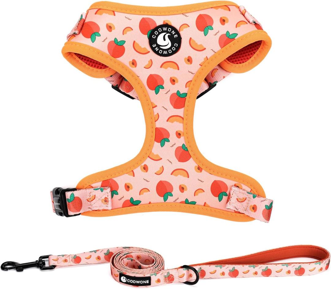 Dog Harness and Leash Set, Adjustable Dog Harness, Dog Leash, No Pull No Choke Puppy Harnesses for Walking Training for Small Pet (S(Chest 13 - 19", Neck 9.5 - 13.1"), Peach)