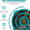 Outward Hound Fun Feeder Slo Bowl Medium 2Cup Capacity, Slow Feeding, Small to Medium Dogs & Cats, Non-Slip, Turquoise, Drop Pattern