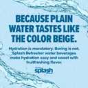 SPLASH REFRESHER Sparkling Water, Rocket Freeze - 8-Pack, 12 Fl Oz Cans - Flavored Carbonated Seltzer Water with Electrolytes, Zero Sugar & Zero Calories