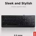 Lenovo 300 USB Keyboard, Wired, Adjustable Tilt, Ergonomic, Windows 7/8/10, GX30M39655, Black