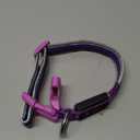 LED Dog Collar, Light Up Dog Collar USB Rechargeable, Brightest Dog Lights for Night Walking, Adjustable Dog Collar Light for Dog Safety (Purple, Medium)