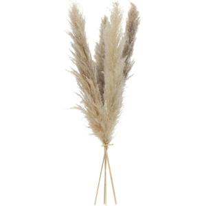 Nearly Natural Set of 48 Stalks Naturally Dried Pampas Grass Bundle 33-Inch Long, Boho Home Dcor for Weddings, and Floral Arrangements, Trendy and Chic Neutral Tones