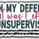 2 x (3Pcs) in My Defense I was Left Unsupervised Funny Quotes Vinyl Stickers for Laptops Water Bottles Phones Tumblers Notebooks Cars Mugs Size 1.6 x 3 Inch