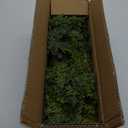 Artificial Cedar Garland for Christmas Decoration - Realistic Winter Greenery Garland for Mantel, Fireplace, Table, Door, Holiday Indoor Outdoor Decor 6FT (6FT Without Wire)