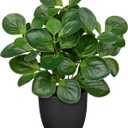 14.5" Artificial Plants Indoor Home Decor, Fake Potted Silk Plants for Shelves Living Room Decorative, Small Artificial Office Desk Plants in Pots, Faux Peperomia Hope Tropical House Plant