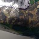 Kaytee Nut & Fruit Wild Bird Seed, 5 lb (5 Pound (Pack of 1))