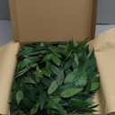 Artificial Italian Ruscus Greenery Stems, 20 Pack Faux Green Leaf Garland Branches Hanging Greenery Spray for Wedding Bouquet Arch Table Centerpiece Home Decor