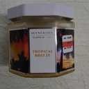 Scent WorX Tropical Breeze, Scented Candle with SeaGrass, Marine Spray, Jasmine, and Island Orchid.