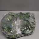 HD 16in Eucalyptus Wreath