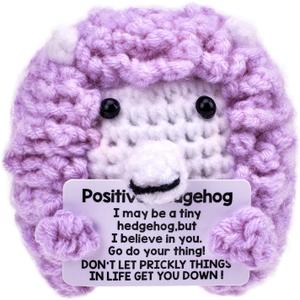 2 x BUNYISCN Funny Positive Crochet Hedgehog Birthday Gifts for Women Men, Emotional Inspirational Crochet Decor Gifts Christmas Stuff Gifts for Her Him Daughter Sister Friend