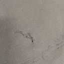 G4Free Women's 5'' Athletic Shorts High Waisted Running Yoga Summer Casual Shorts with Pockets XL