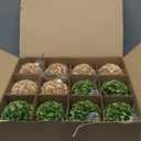 24 Pcs Neutral Christmas Crochet Ball Ornaments 70mm/ 2.76 Inch Earthy Tones & Festive Colors for Xmas Tree Rustic Party Wreath Home Decor