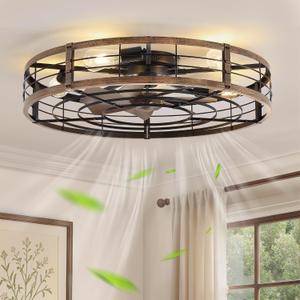 LEDIARY 30" Caged Low Profile Ceiling Fan with Light and Remote Black Gold
