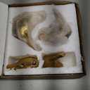 Notakia Small Birds Statues Home Decor Modern Style Decorative Ornaments for Living Room, Bedroom, Office Desktop, Cabinets (4Pcs Gold Birds)