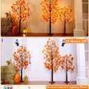 8 Modes & Remote 3 Pack Lighted Fall Tree (4FT, 5FT, 6FT) with 240 LED