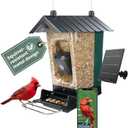 Perky-Pet Solar Powered Smart Bird Feeder with Camera - Squirrel-Resistant, 3.2L Capacity, Motion Activated 1080p HD WiFi Live Stream Camera, SPCAM, SPCAMSLR - Camera Feeder Gift Idea, Forest Green