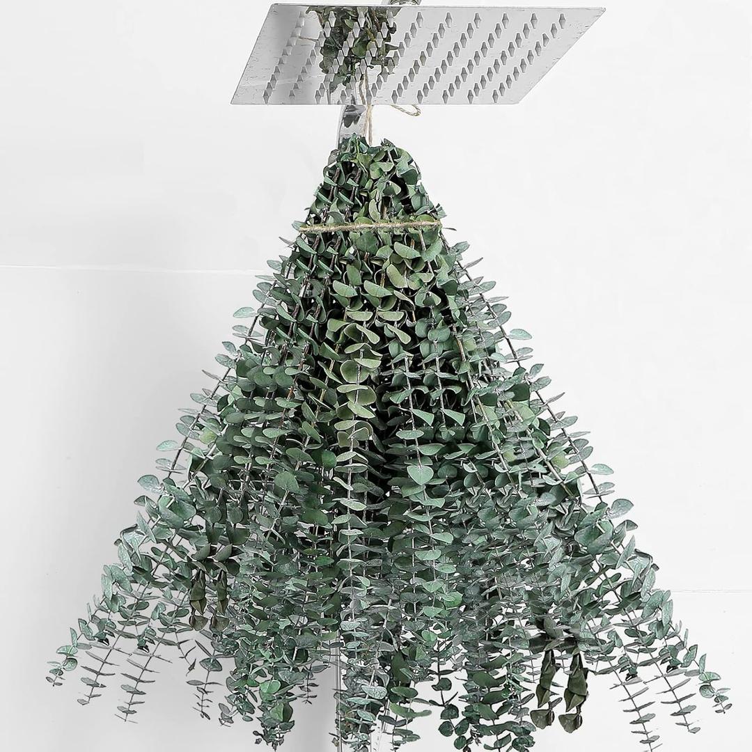 30 Pcs Dried Eucalyptus Stems 17" Real Eucalyptus for Shower Hanging 100% Made from Fresh Leaves, Wedding, Home, Farmhouse, DIY Spring Decor 30 Pcs Dried Eucalyptus Stems 17" Real Eucalyptus for Shower Hanging 100% Made from Fresh Leaves, Wedding, Home, Farmhouse, DIY Spring Decor