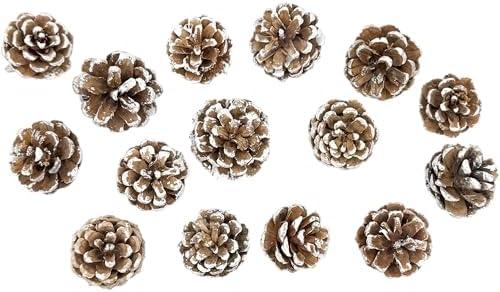 Pack of 2 Black Duck Brand Assorted Pinecone Christmas Table Scatter! Glitter Frosted Winter-Themed Pinecones Perfect for Decorating for The Holiday Season! (45, Snow Tipped)