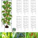 6 Packs Tomato Cages for Garden, 12"12"48" Plant Support Cage with Different Spacing, Green Metal Trellis for Climbing Plants Like Cucumber, Flowers