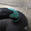 Elevon Cast Iron Kettlebell Weights for Home Gym, 70 LBS