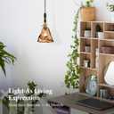 Modern Amber Glass Pendant Light, 6"x11.5" Floral Bell-Shaped Hanging Light with Wood Handle & Brass Cap, 15"-72" Adjustable Line, E26 Socket  Golden Amber Morning Glory