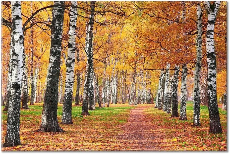 Autumn Forest Canvas Wall Art: Fall Forest Picture Golden Woods Landscape Artwork Wall Decor - Nature Tree Pictures With Pathway Prints For Living Room 36"X24"